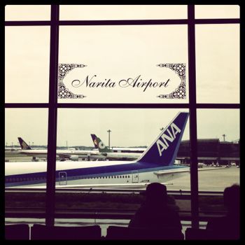 成田空港のANA画像